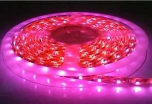 SMD 3528 Flexible Strip for Indoor